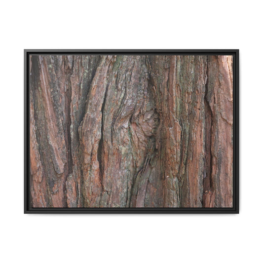 Rugged Textures - Unique Stretched Canvas Wall Art - Art By Earth
