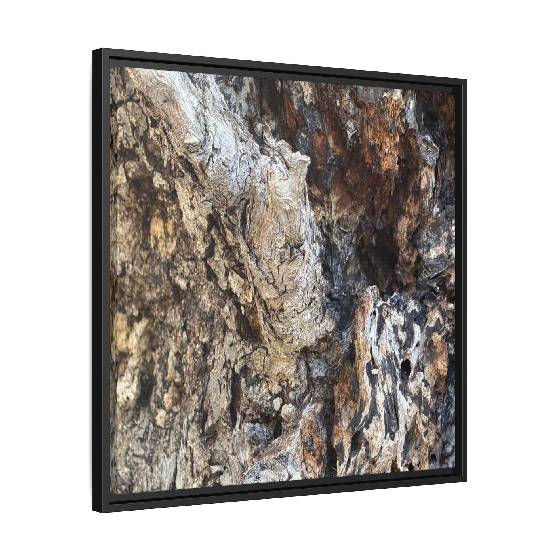 Ancient Tree Texture - Unique Stretched Canvas Wall Art - Art By Earth