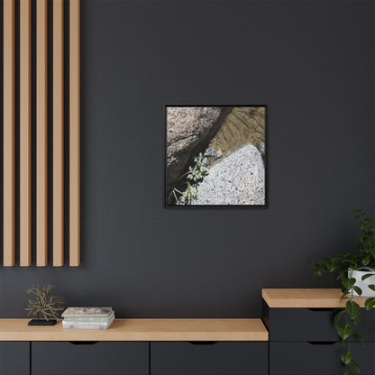 Resilience in Stone - Unique Stretched Canvas Wall Art - Art By Earth