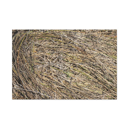Tangled Hay - Unique Stretched Canvas Wall Art - Art By Earth