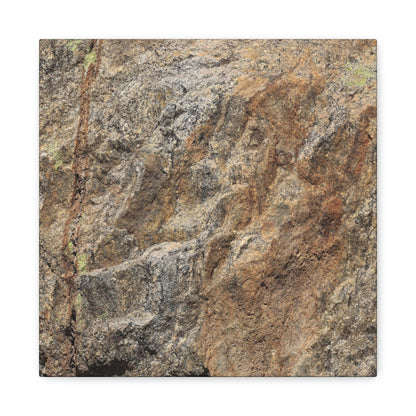 Erosion's Palette - Unique Frameless Canvas Wall Art - Art By Earth