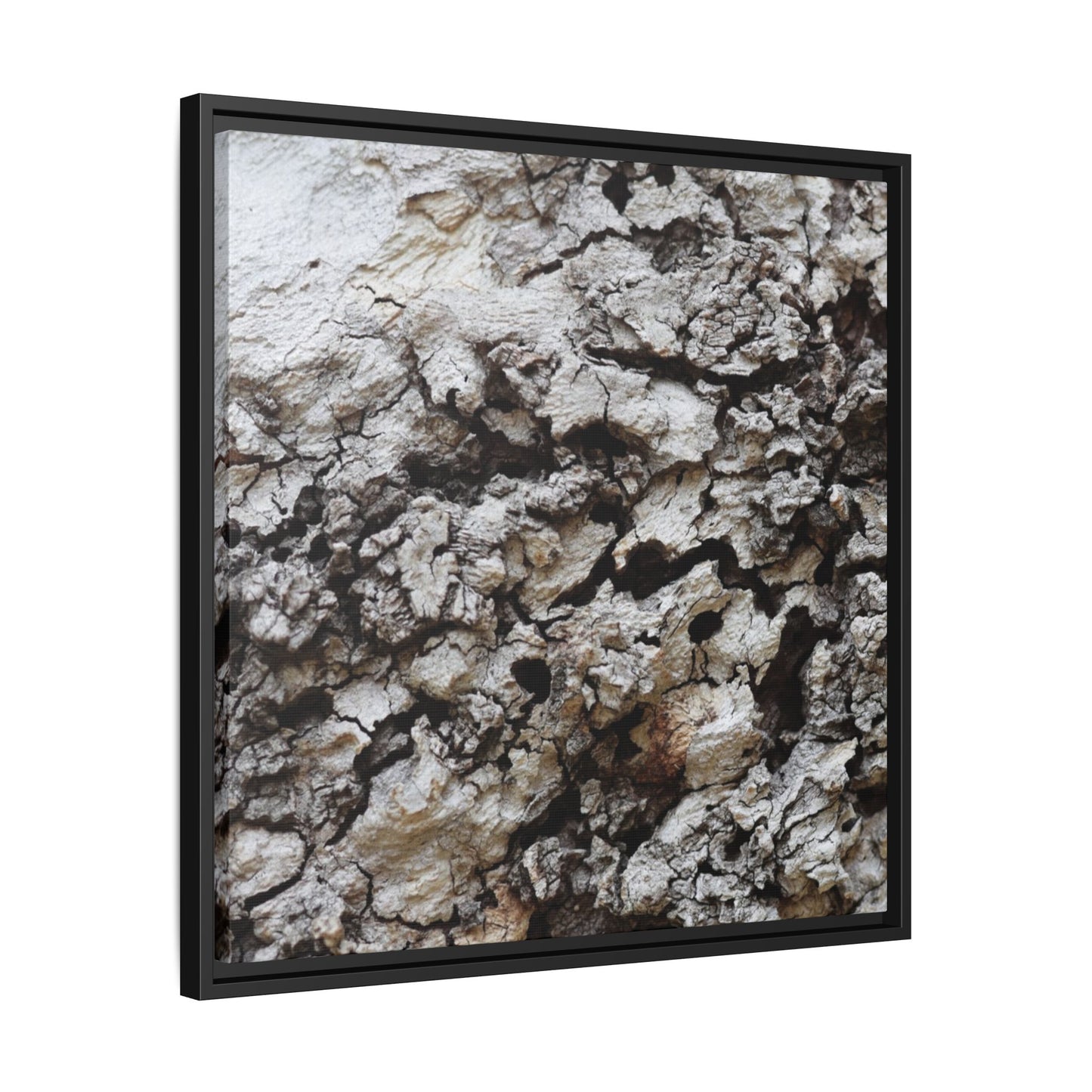 Cracked Terrain - Unique Stretched Canvas Wall Art - Art By Earth