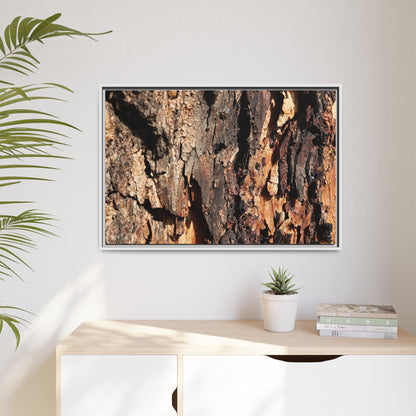Rugged Beauty - Unique Stretched Canvas Wall Art - Art By Earth