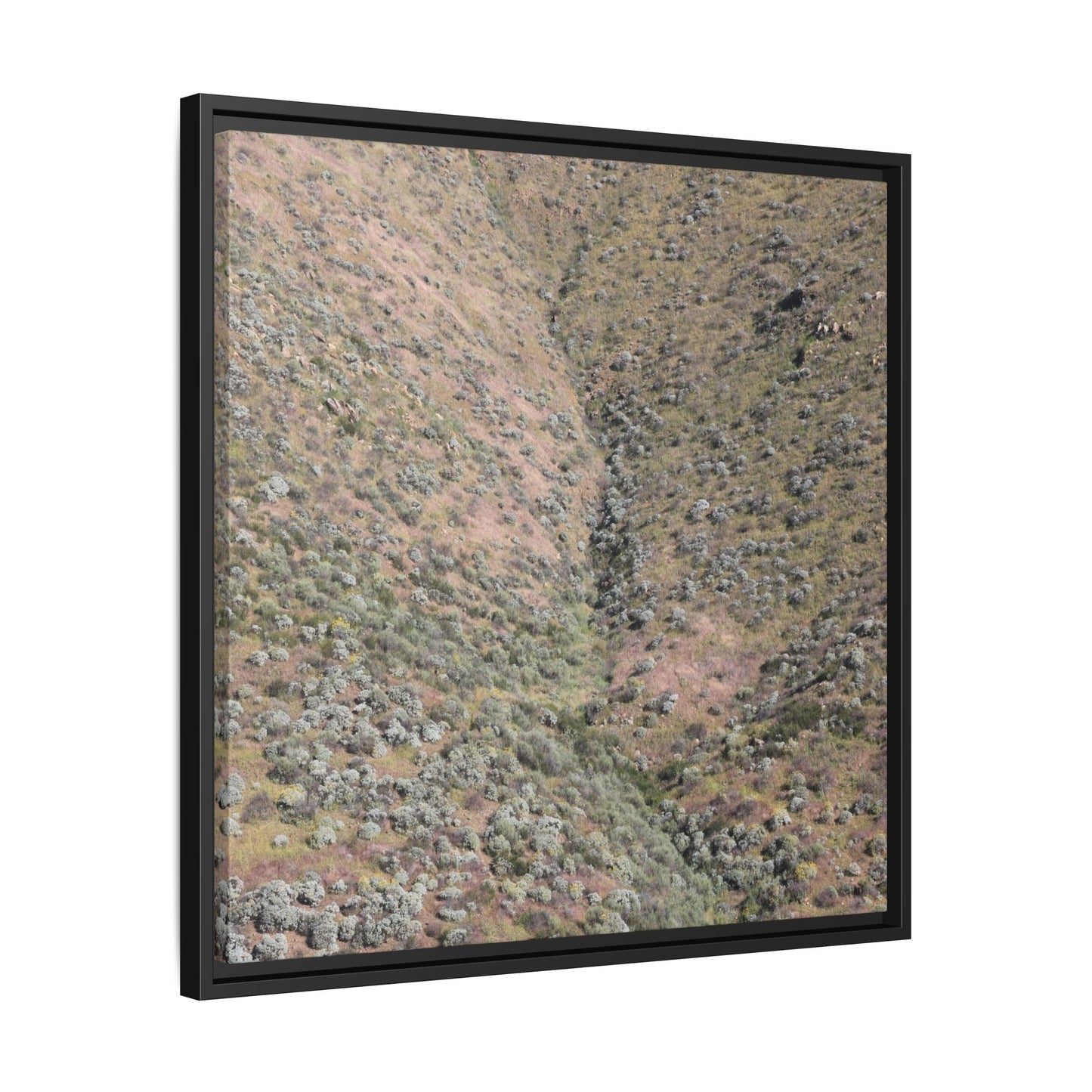 Mountain Slope with Desert Vegetation - Unique Stretched Canvas Wall Art - Art By Earth