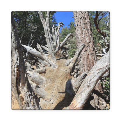 Twisted Roots - Unique Frameless Canvas Wall Art