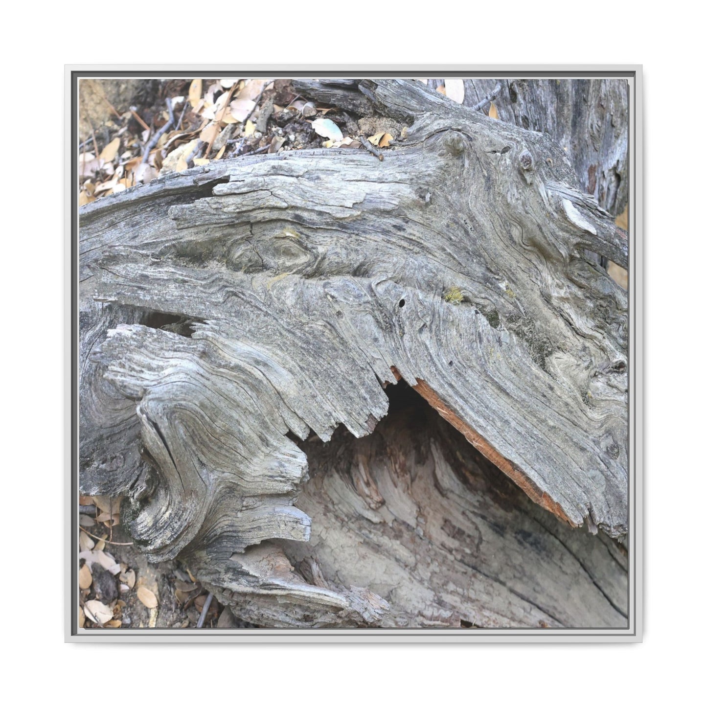 Driftwood Dreams - Unique Stretched Canvas Wall Art - Art By Earth