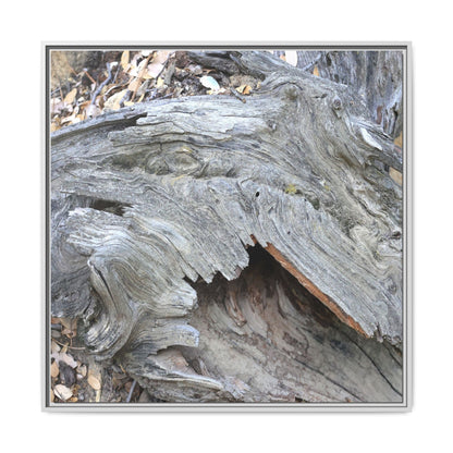 Driftwood Dreams - Unique Stretched Canvas Wall Art - Art By Earth