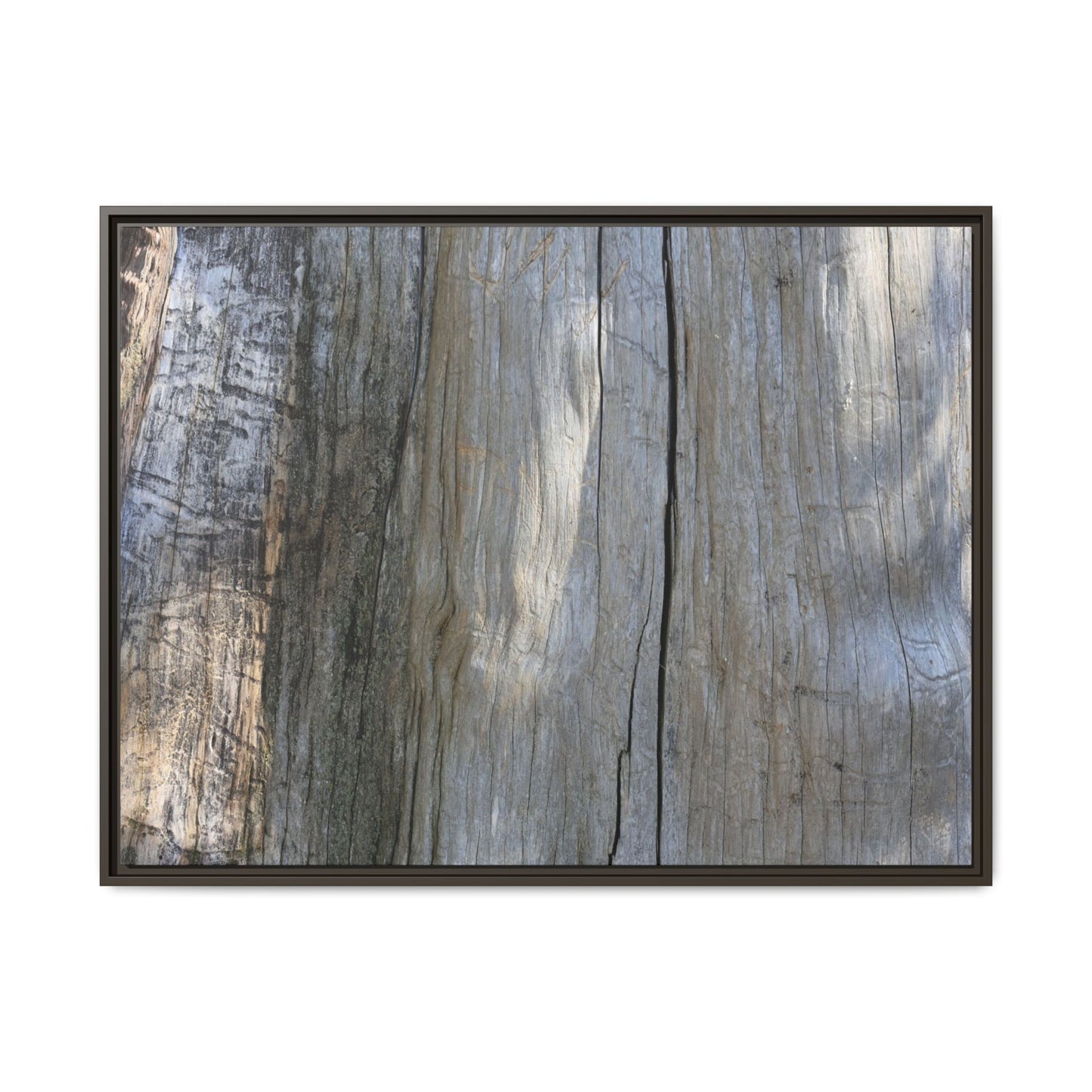 Cracked Timber Texture - Unique Stretched Canvas Wall Art