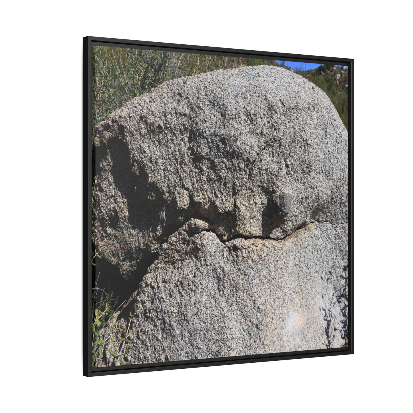 Stone Skull in Desert - Unique Stretched Canvas Wall Art