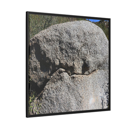 Stone Skull in Desert - Unique Stretched Canvas Wall Art