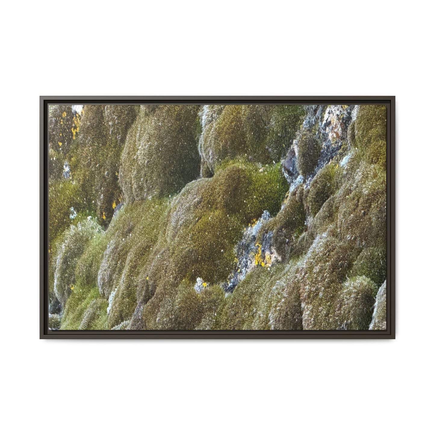 Moss Symphony - Unique Stretched Canvas Wall Art