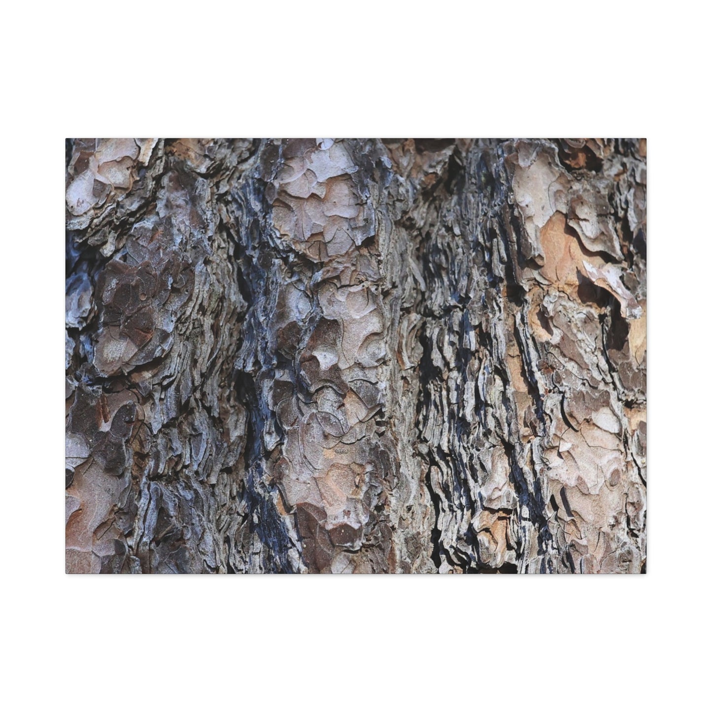 Bark's Rugged Symphony - Unique Frameless Canvas Wall Art - Art By Earth