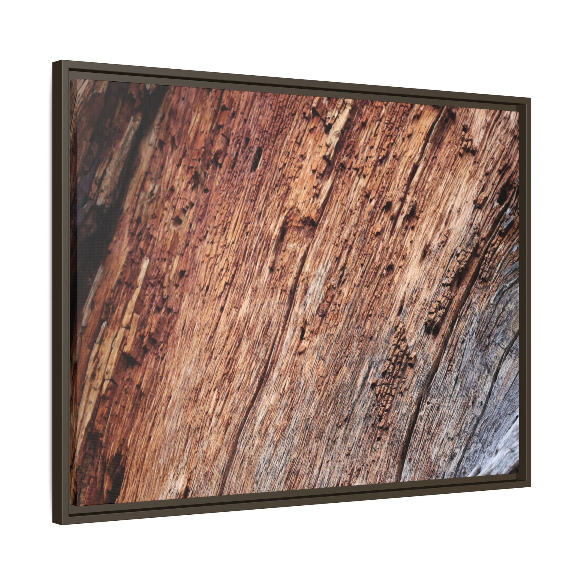 Time's Mark - Unique Stretched Canvas Wall Art - Art By Earth