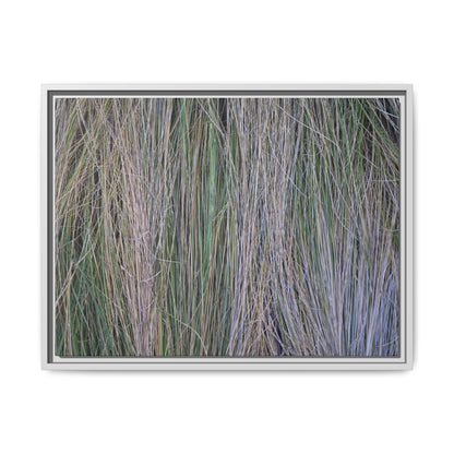 Whispers of Silver Grass - Unique Stretched Canvas Wall Art - Art By Earth
