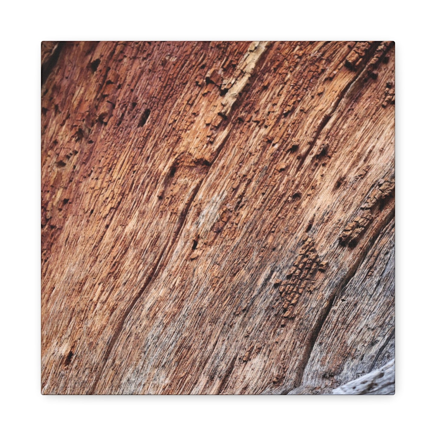 Natural Wood Grain - Unique Frameless Canvas Wall Art - Art By Earth