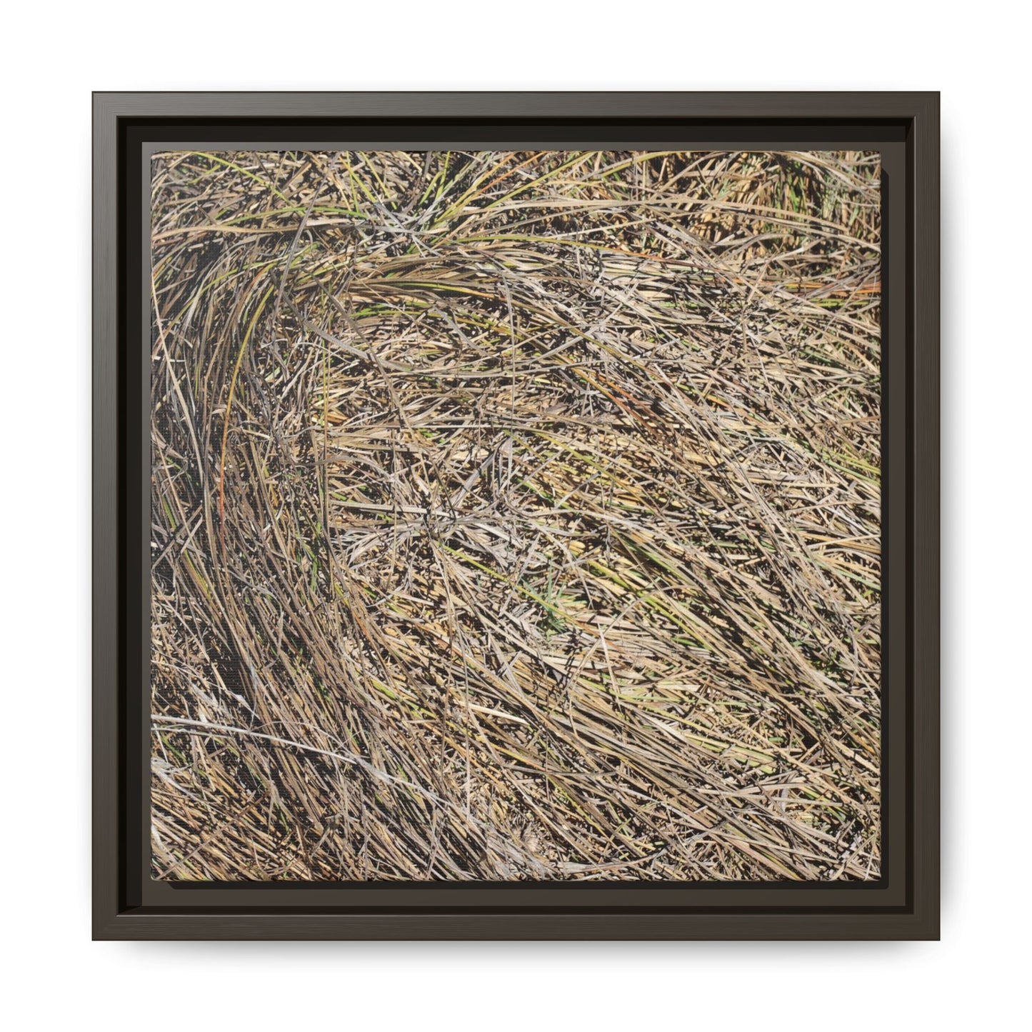 Tangled Grass Symphony - Unique Stretched Canvas Wall Art - Art By Earth