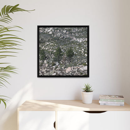 Rocky Hillside with Pine Trees - Unique Stretched Canvas Wall Art - Art By Earth