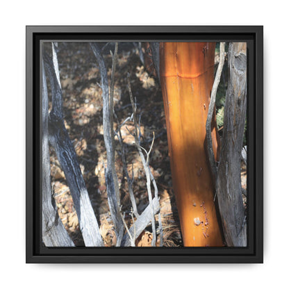 Burnt Trees and Golden Trunk - Unique Stretched Canvas Wall Art