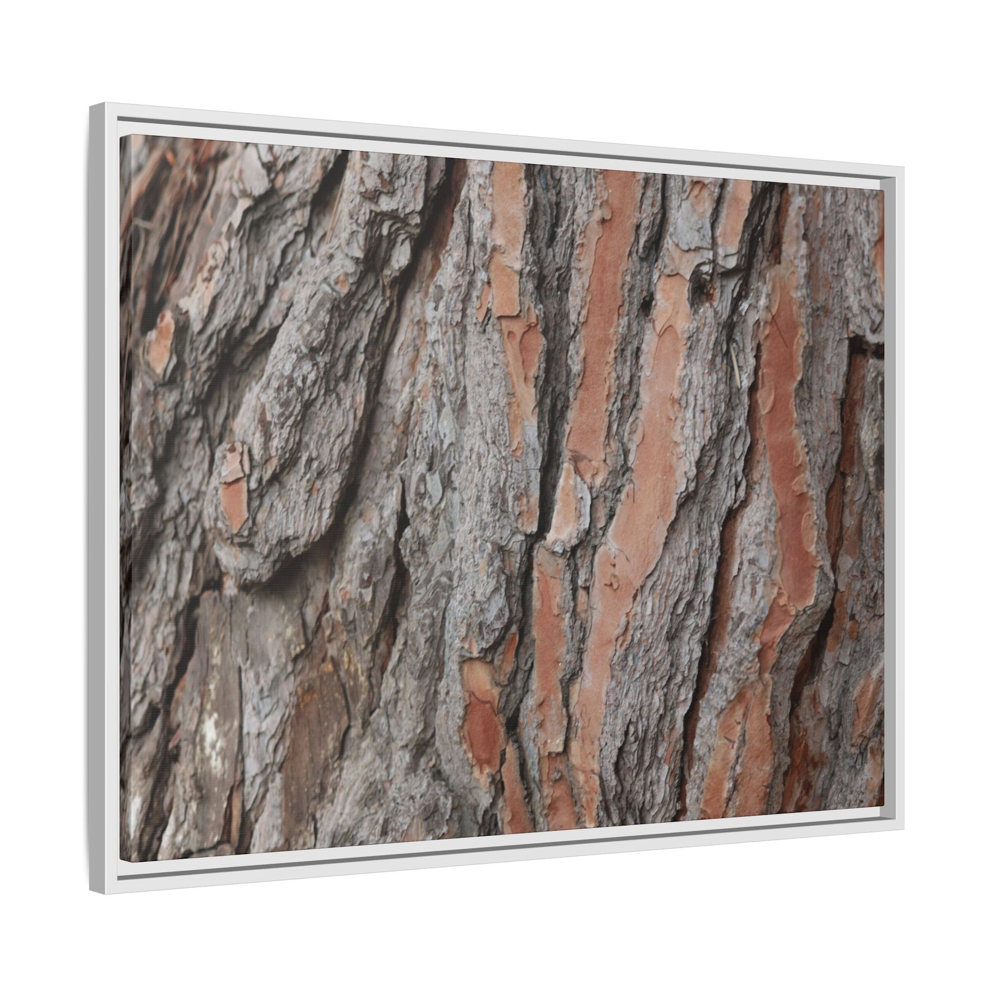 Woodland Layers - Unique Stretched Canvas Wall Art - Art By Earth