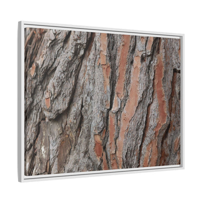 Woodland Layers - Unique Stretched Canvas Wall Art - Art By Earth