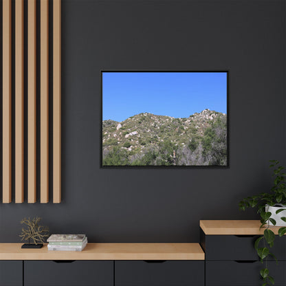 Sparse Vegetation - Unique Stretched Canvas Wall Art
