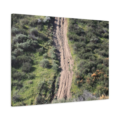 Straight Road Cutting Through Wilderness - Unique Frameless Canvas Wall Art - Art By Earth