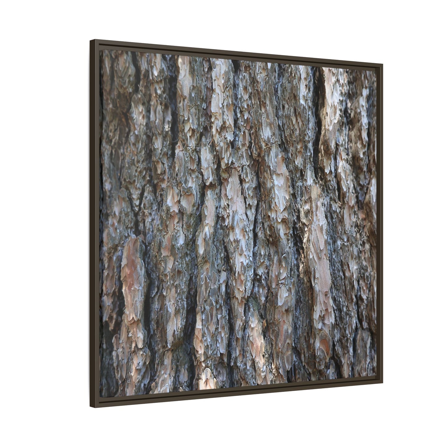 Bark Whispers - Unique Stretched Canvas Wall Art - Art By Earth