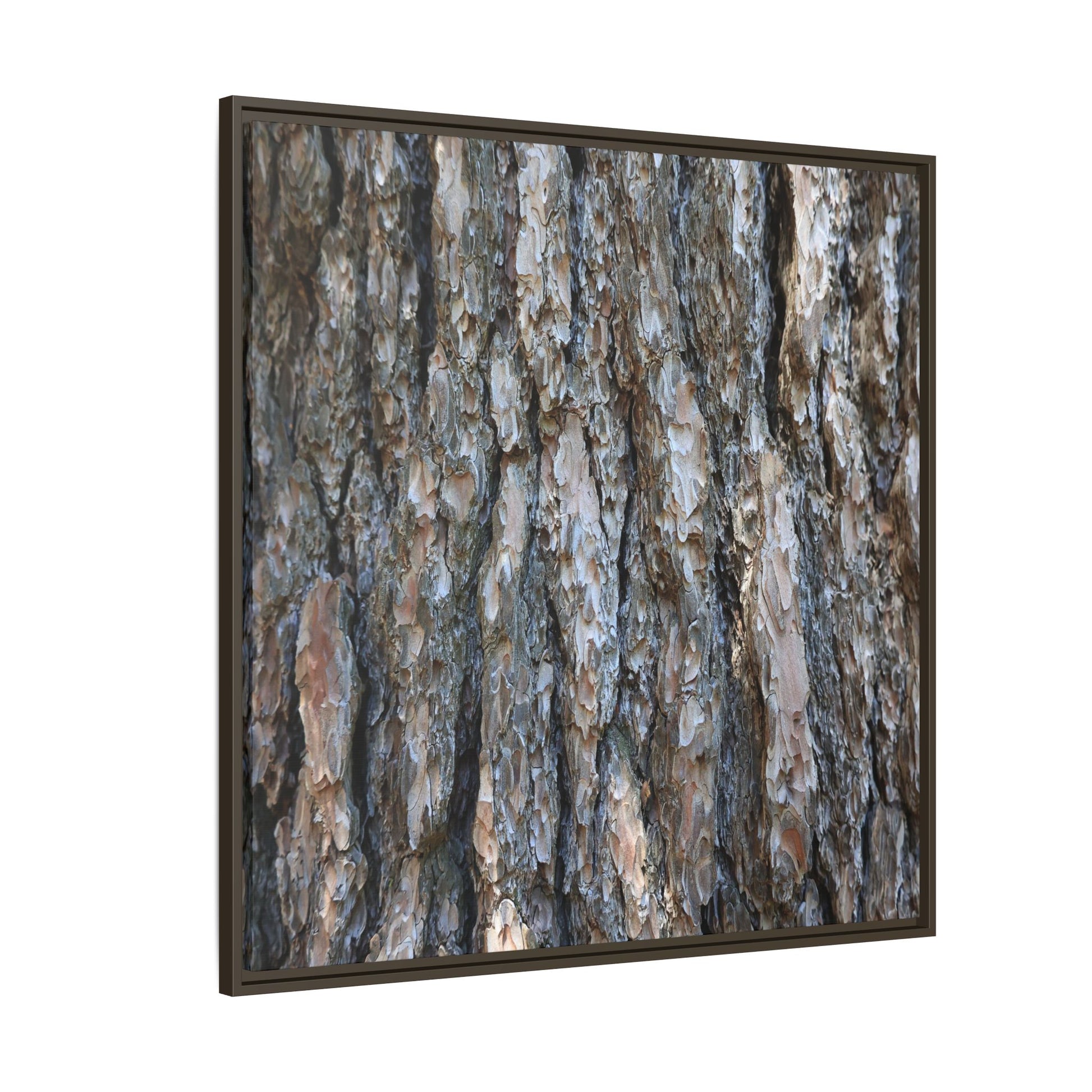 Bark Whispers - Unique Stretched Canvas Wall Art - Art By Earth