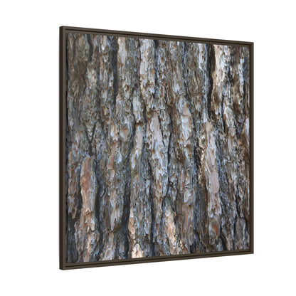 Bark Whispers - Unique Stretched Canvas Wall Art - Art By Earth