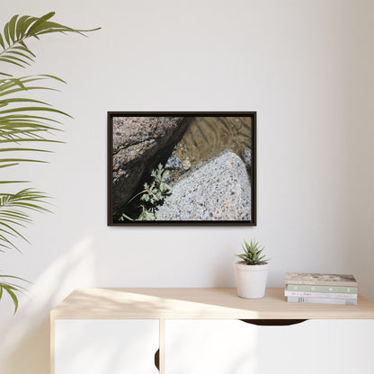 Resilience in Stone - Unique Stretched Canvas Wall Art - Art By Earth