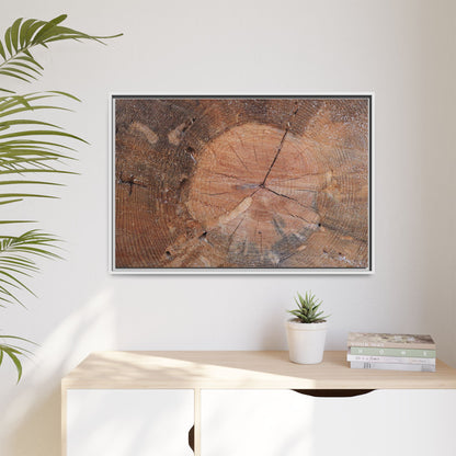 Concentric Memories - Unique Stretched Canvas Wall Art - Art By Earth