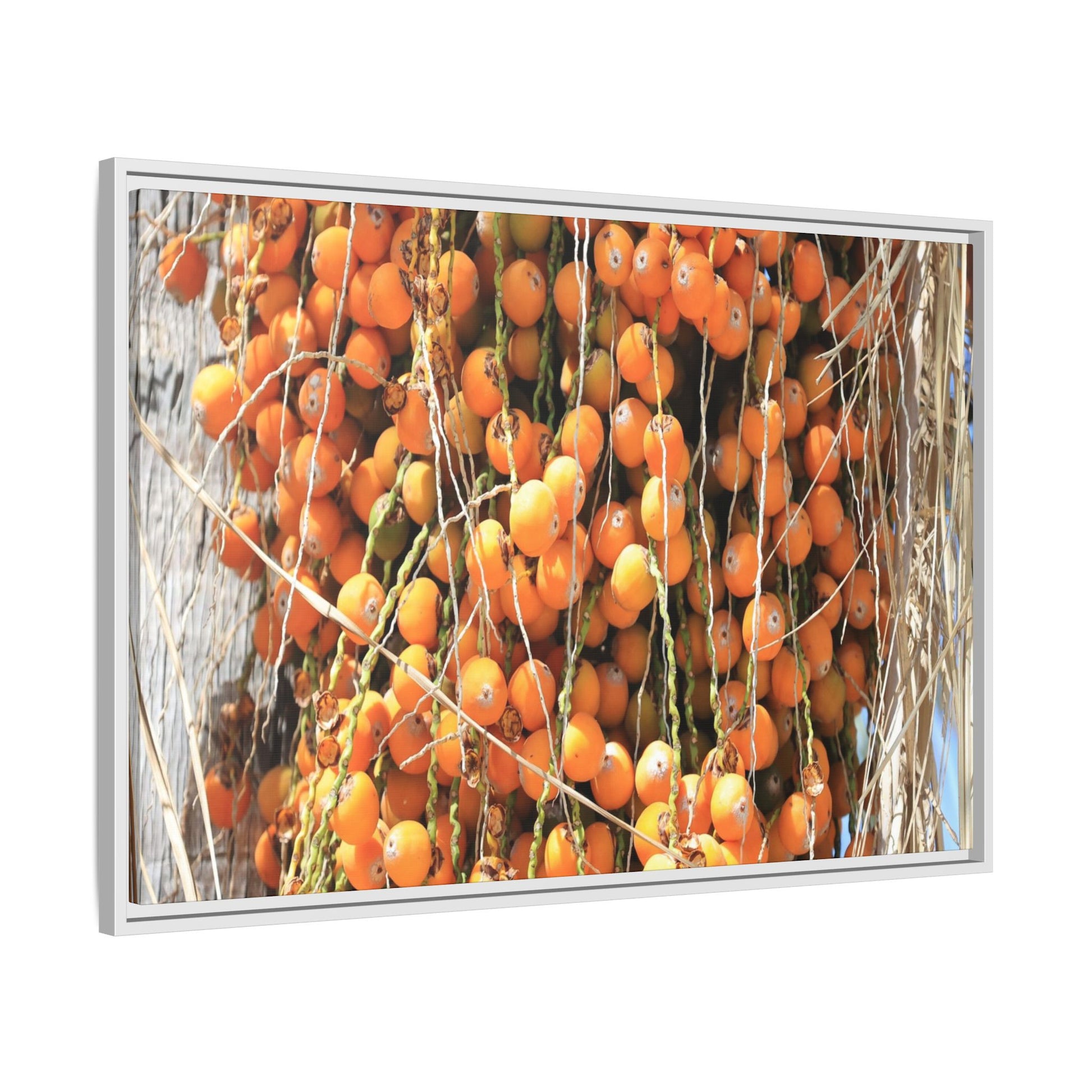 Clusters of Sunlight - Unique Canvas Wall Art - Art By Earth