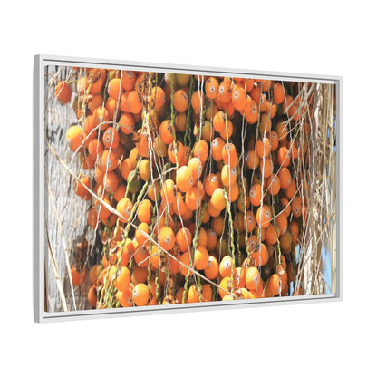 Clusters of Sunlight - Unique Canvas Wall Art - Art By Earth