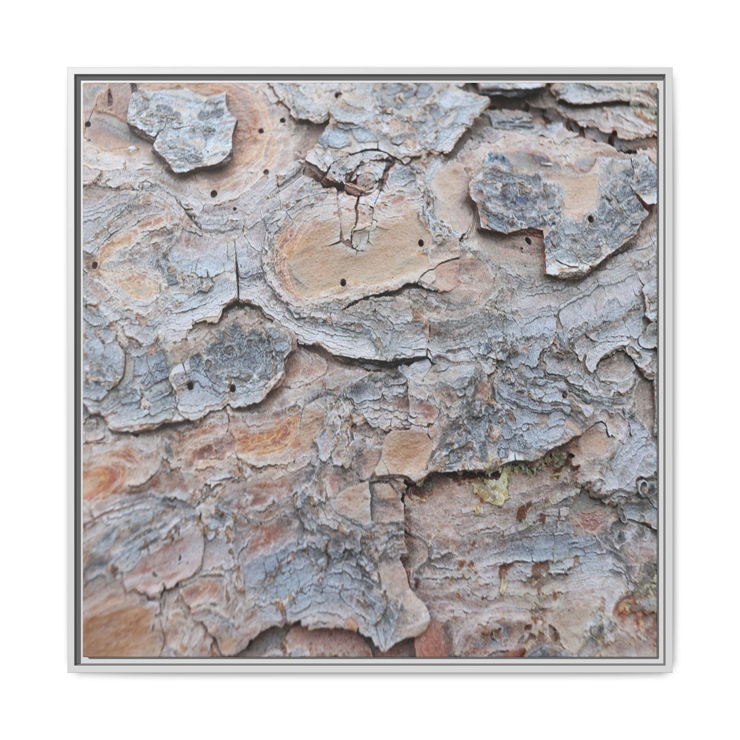 Peeling Memories - Unique Stretched Canvas Wall Art - Art By Earth