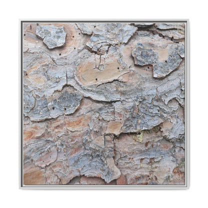 Peeling Memories - Unique Stretched Canvas Wall Art - Art By Earth