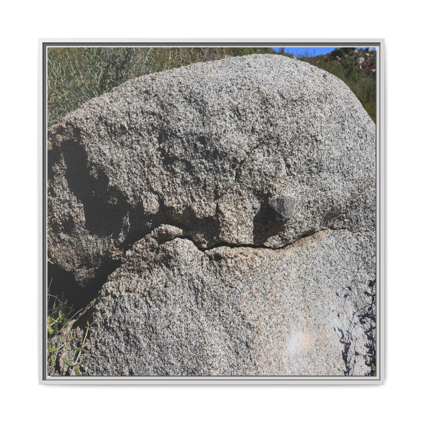 Stone Skull in Desert - Unique Stretched Canvas Wall Art