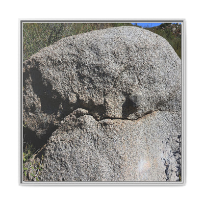 Stone Skull in Desert - Unique Stretched Canvas Wall Art