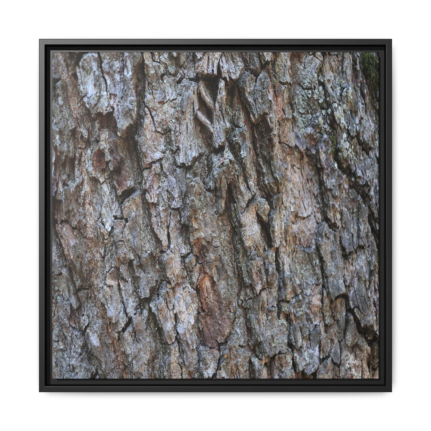 Woodland Skin - Unique Stretched Canvas Wall Art - Art By Earth