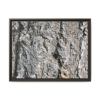 Crusty Exterior - Unique Stretched Canvas Wall Art - Art By Earth