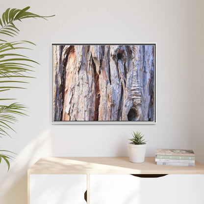 Nature's Grain - Unique Stretched Canvas Wall Art - Art By Earth