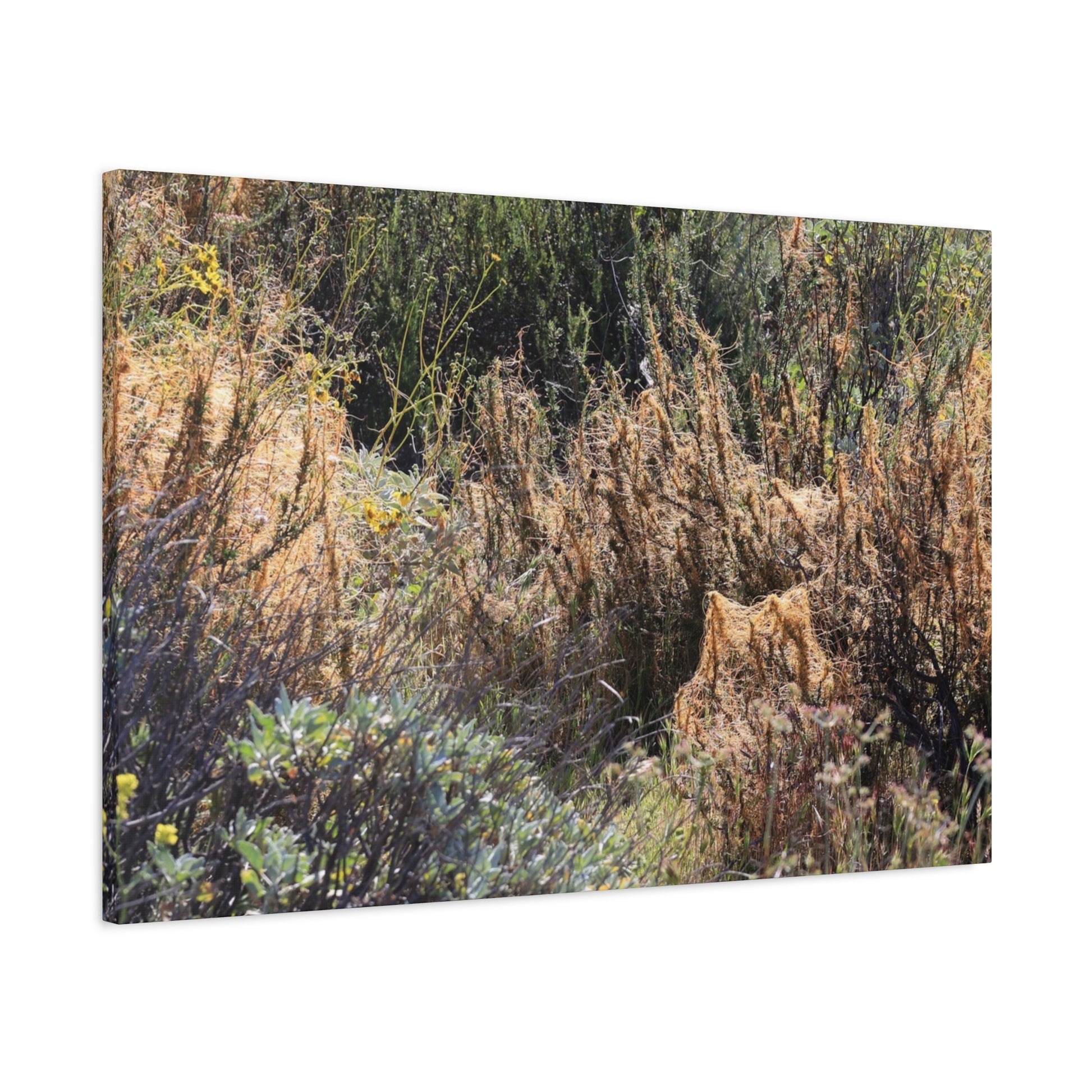 Sagebrush Desert Landscape - Unique Frameless Canvas Wall Art - Art By Earth