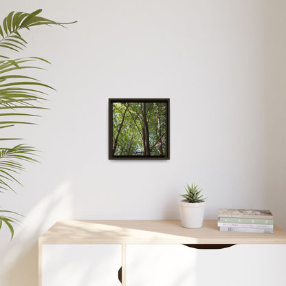 Forest Branches - Unique Stretched Canvas Wall Art