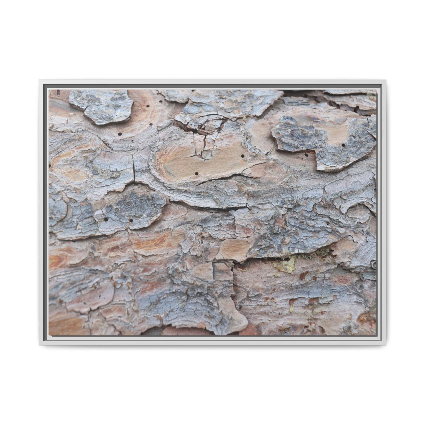 Peeling Memories - Unique Stretched Canvas Wall Art - Art By Earth