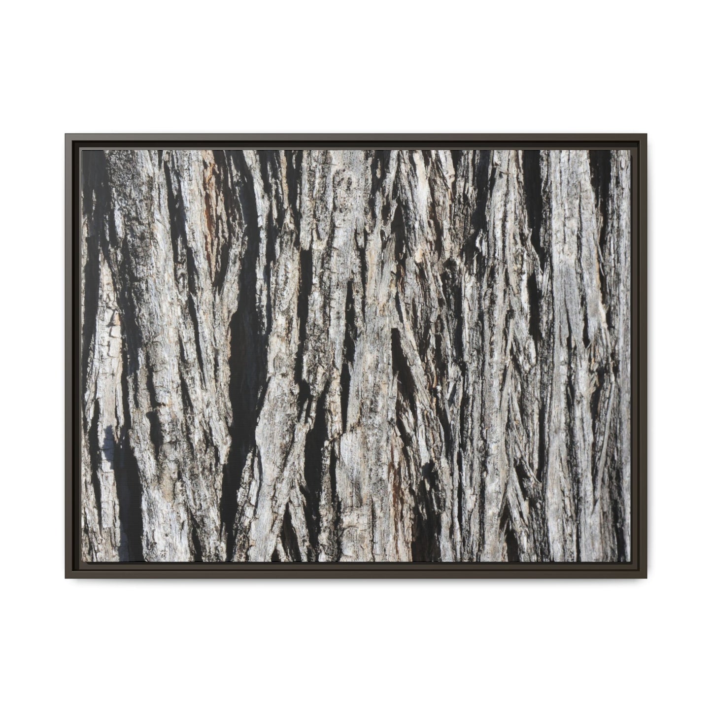 Nature's Abstract - Unique Stretched Canvas Wall Art - Art By Earth