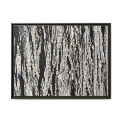 Nature's Abstract - Unique Stretched Canvas Wall Art - Art By Earth