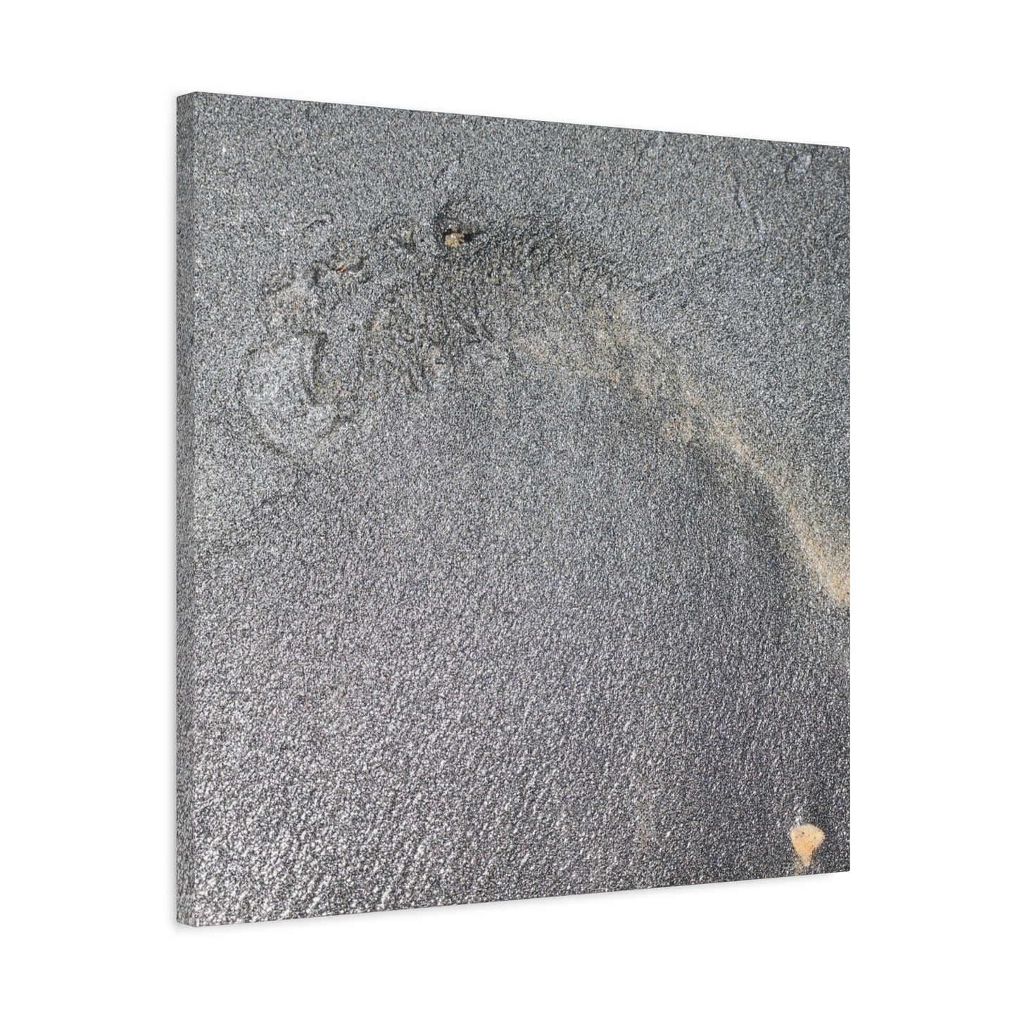 Ephemeral Whispers of Granite - Unique Frameless Canvas Wall Art - Art By Earth