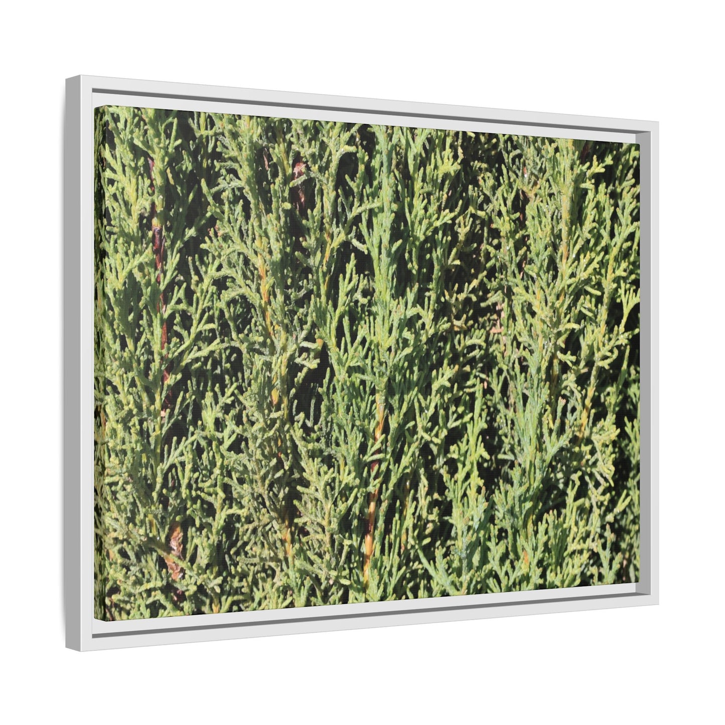 Emerald Labyrinth - Unique Stretched Canvas Wall Art - Art By Earth