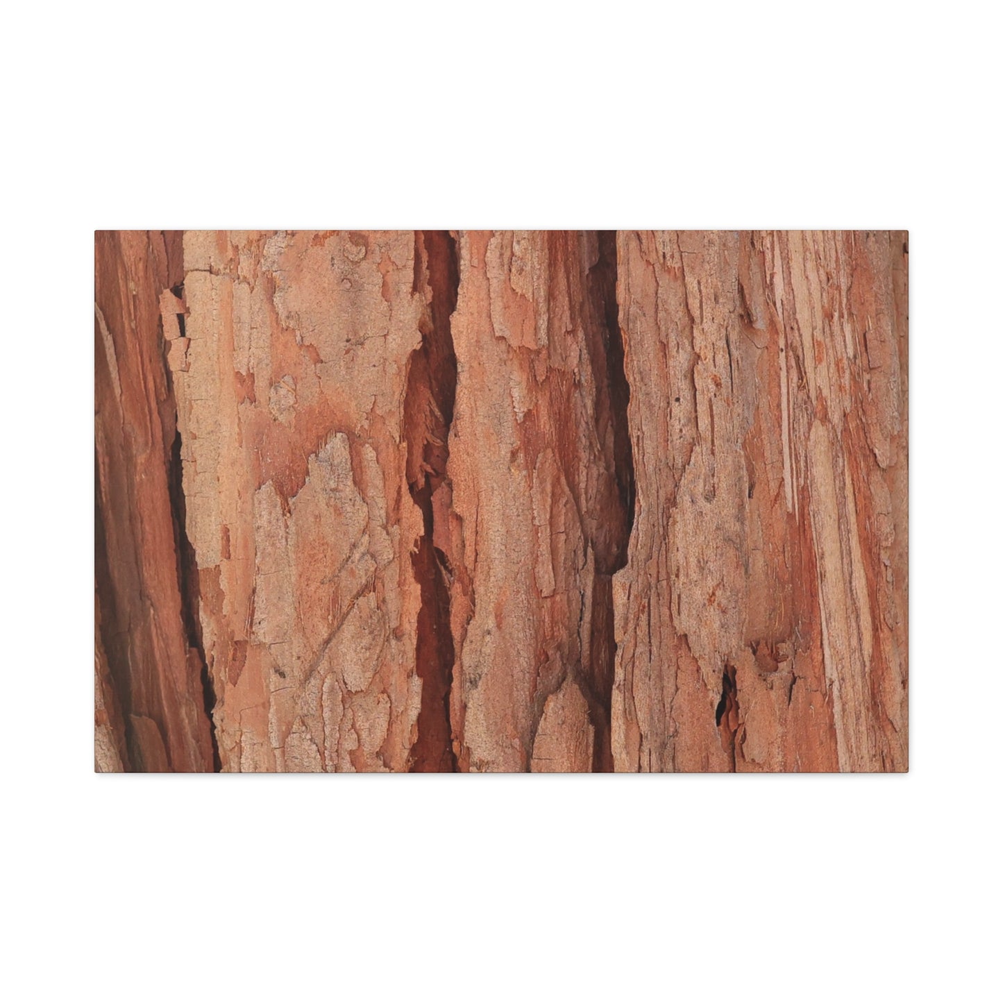 Bark Layers of Time - Unique Frameless Canvas Wall Art - Art By Earth