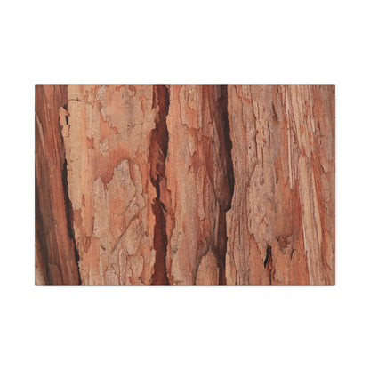 Bark Layers of Time - Unique Frameless Canvas Wall Art - Art By Earth