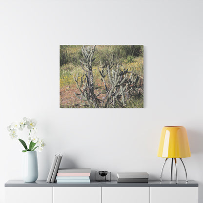 Desert Bloom in Shadow - Unique Frameless Canvas Wall Art - Art By Earth